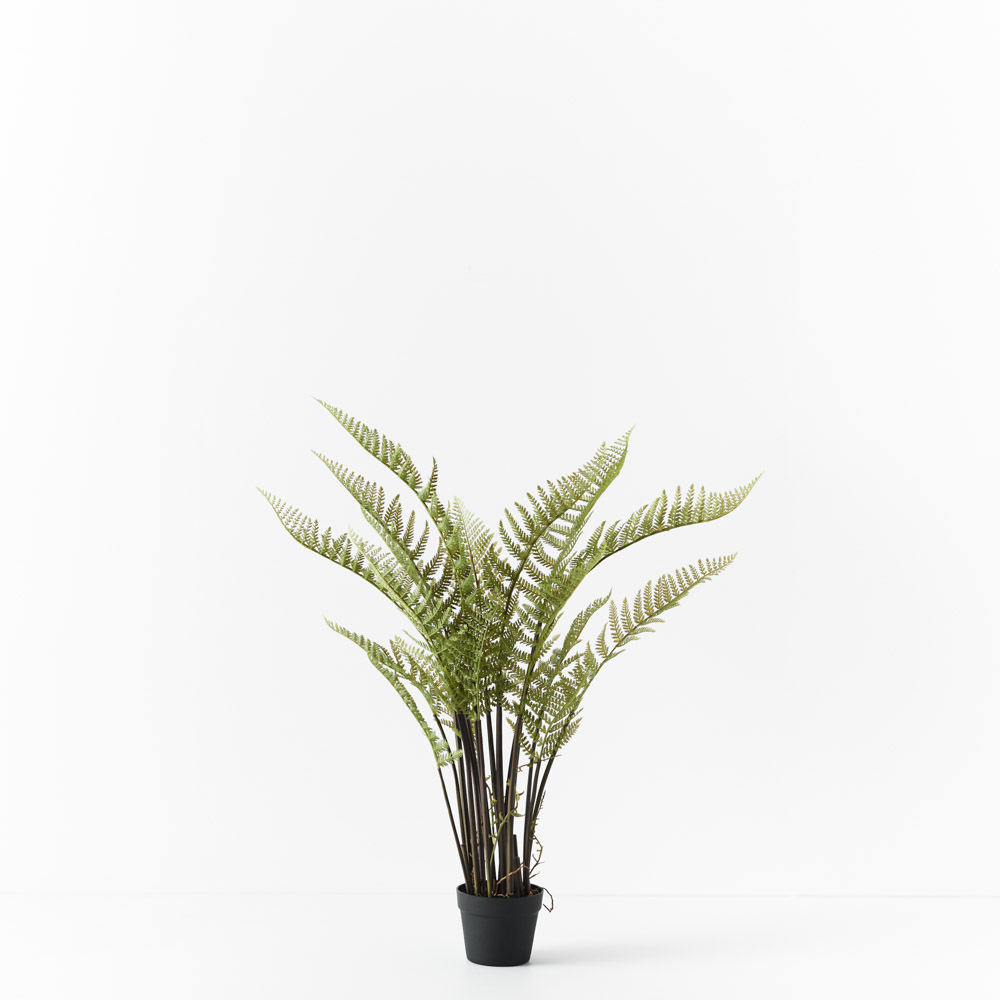 Fern Mountain Plant Green 117cmh