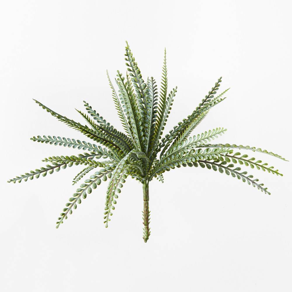 Fern Ostrich Bush