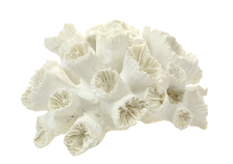 Stony Coral Resin Sculpture 16cm