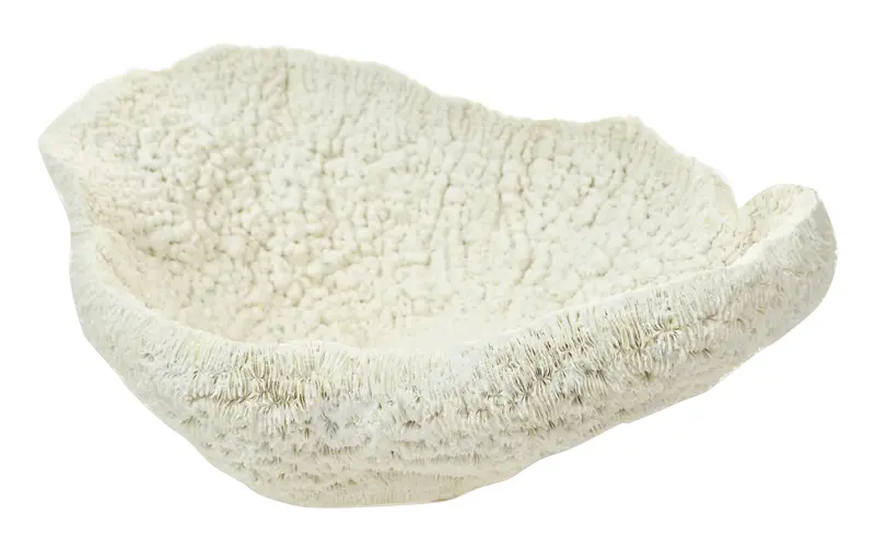 Table Coral Resin Sculpture 28cm