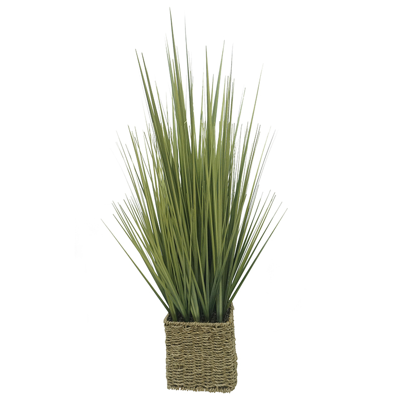Onion Grass 85cm in Woven Basket