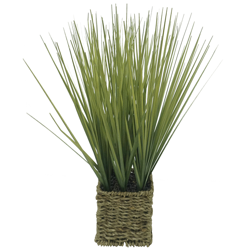 Onion Grass 41cm in Woven Basket