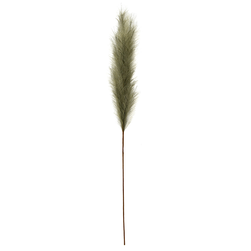 Pampas Grass 130cm - Sage