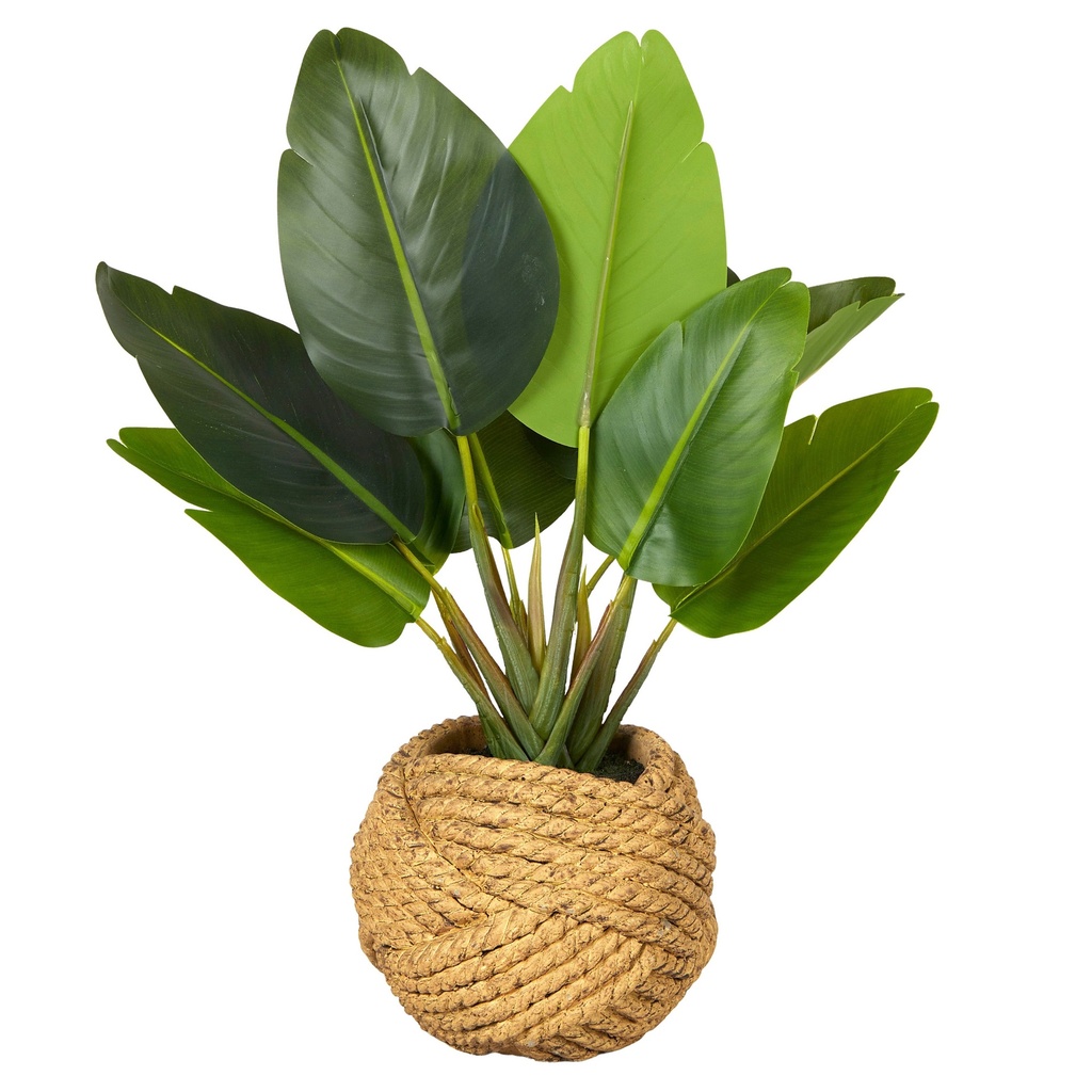 Banana Tree Real Touch