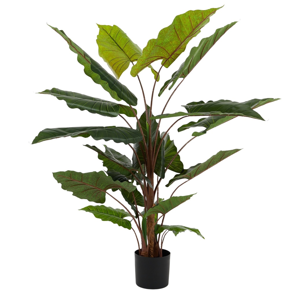 Alocasia Real Touch 160cm
