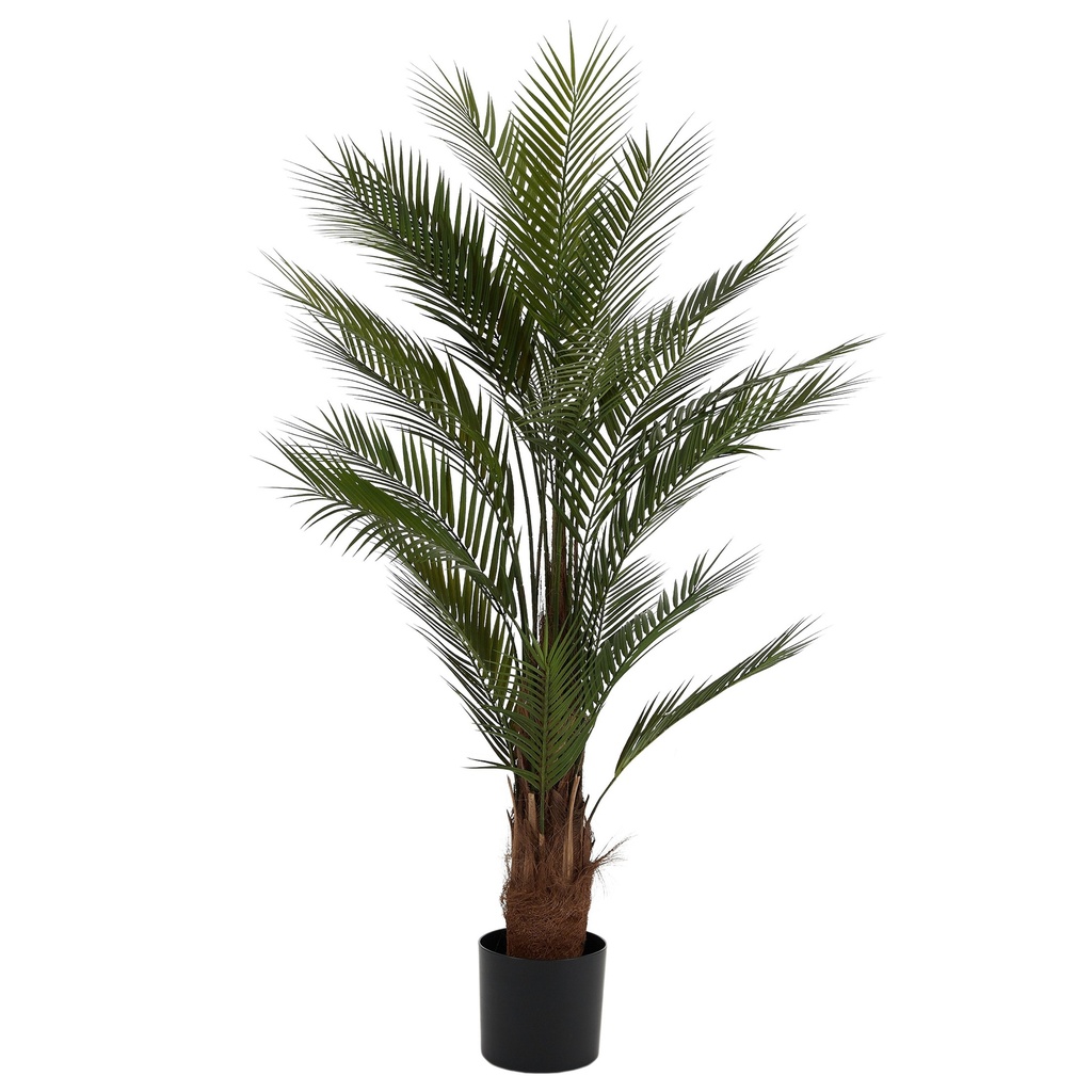 Fern Palm Tree 15cm w/Pot
