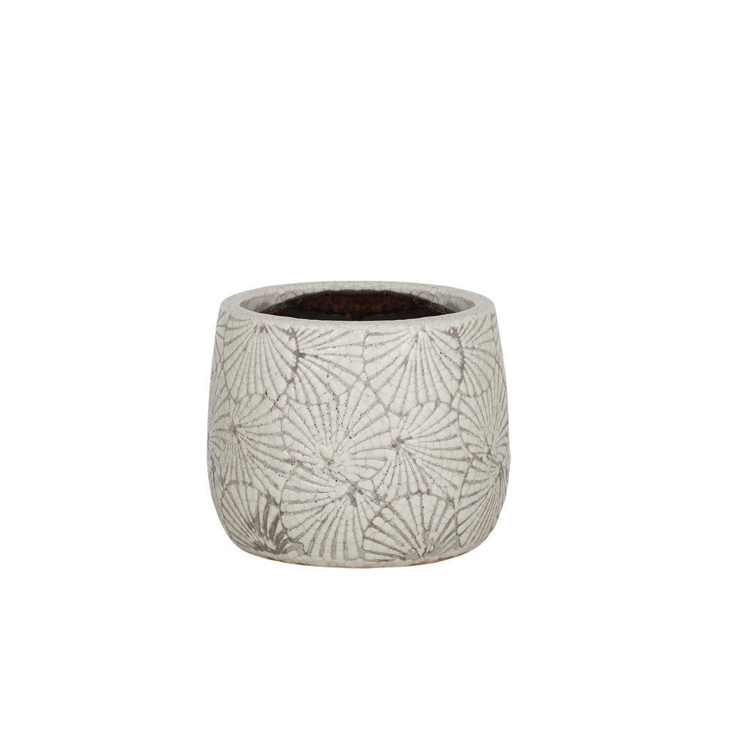 Nautilus Ceramic Planter 