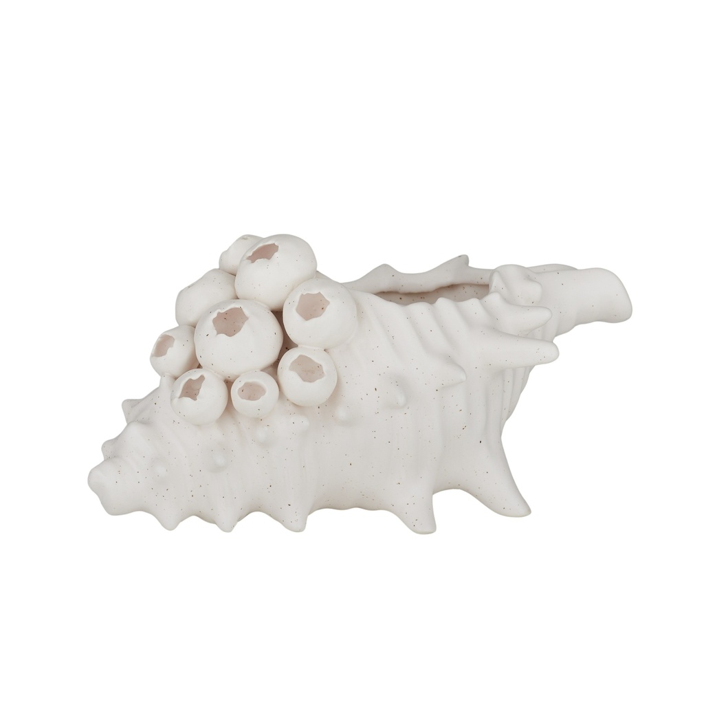 Barw on Ceramic Shell Sculpture