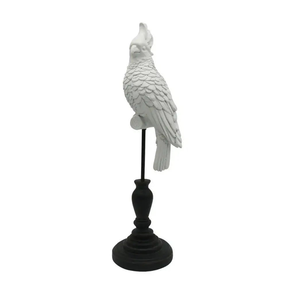 Island Parrot White