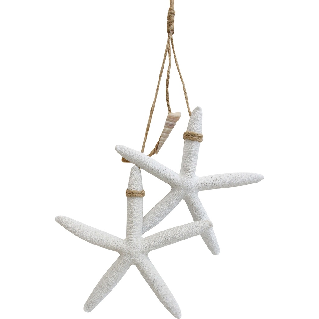Starfish Luna - Small Pair
