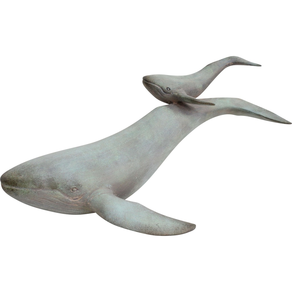 Whale & Calf W/Wash