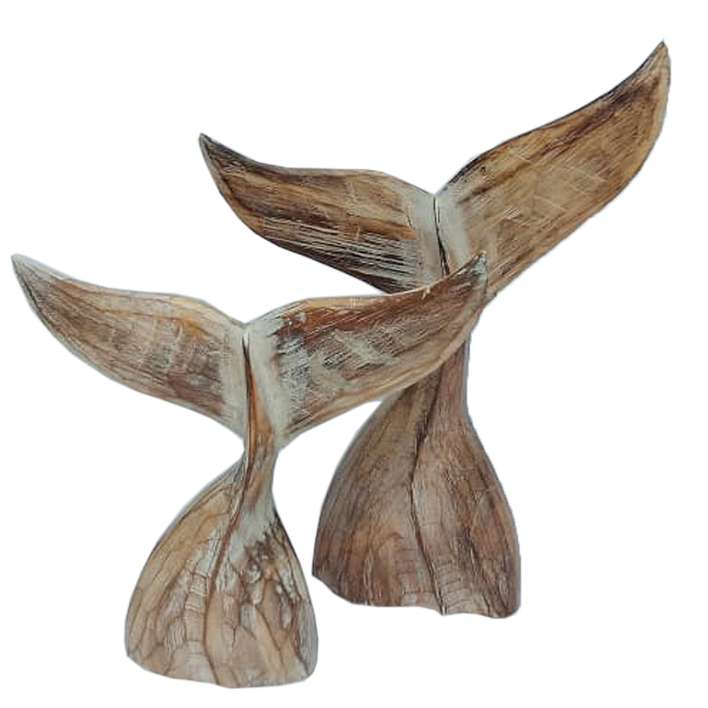 Whale Tail Natural/White - Small