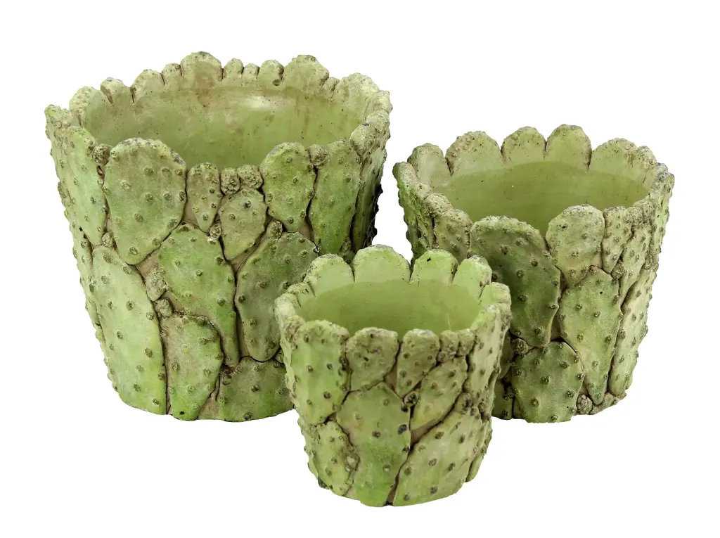 Rnd Cactus Planter - Mojave SML