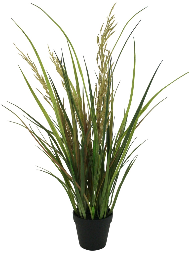 Potted Wheat w/Grass 53cm