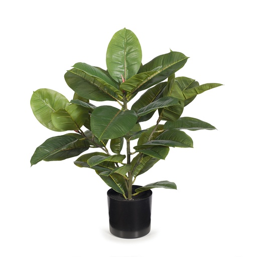 [FI7573GR] Rubber Plant Green 51cm
