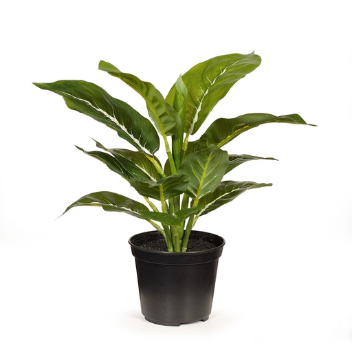 [FI8049GR] Evergreen w/Pot 28cmh