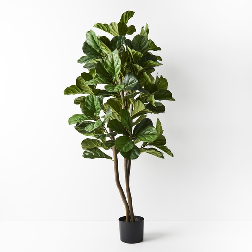 [FI8300GR] Fiddle Leaf Tree - Green 153cmh