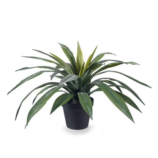 [FI8153GR] Yucca Plant Green 46cmh