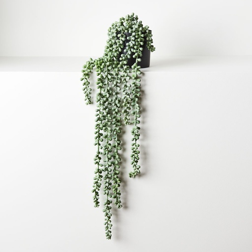 [FI8686GY] String of Pearls Grey Green 70cm w/Pot