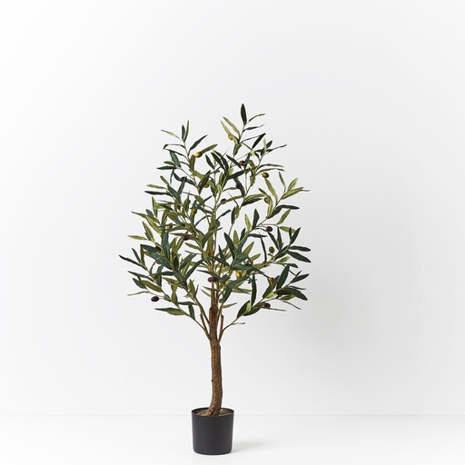 [FI8886GR] Olive Tree