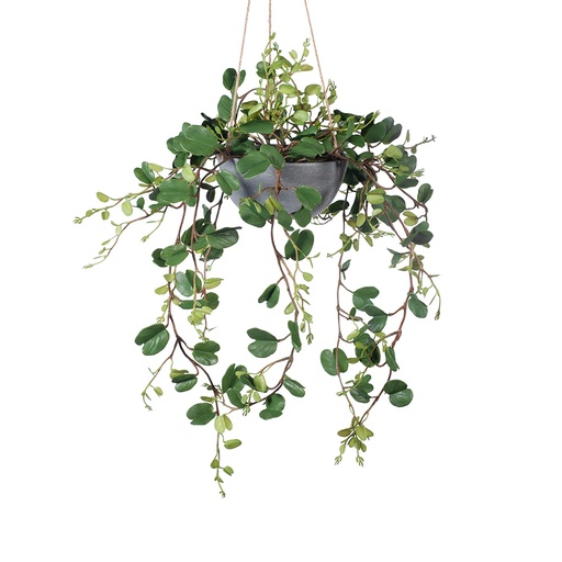 [FI8149DG] Hoya Hanging Bowl