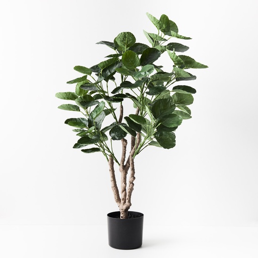 [FI9170GR] Peperomoides Plant Green 94cmh