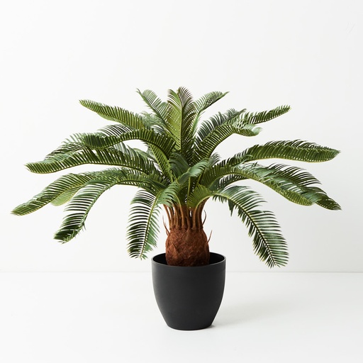 [FI9179GR] Palm Cycad Green 60cmh