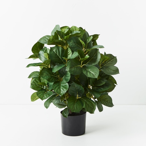 [FI9277GR] Hydrangea Leaf Plant Green 60cmh