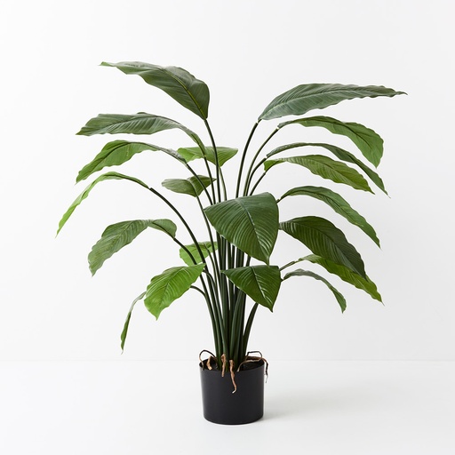 [FI9298GR] Spathiphyllum Leaf Plant Green 100cmh