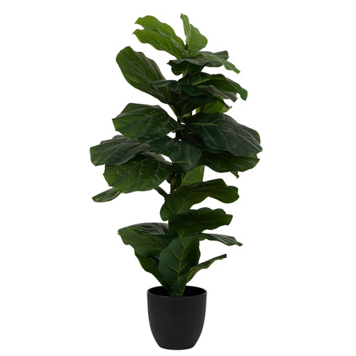 [AF2174] Fiddle Leaf RT 100cm w/Pot