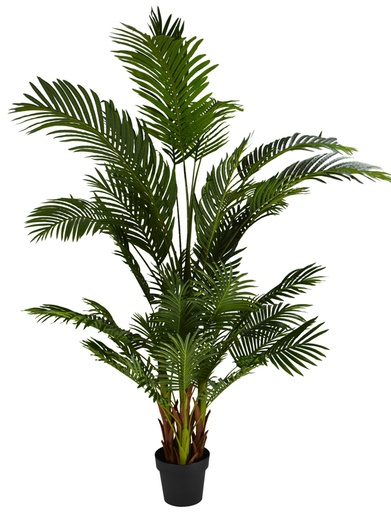 [AF2190] Areca Palm RT 180cm w/Pot
