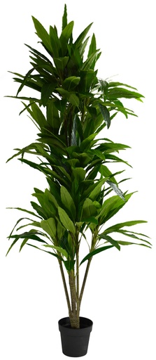 [AF2191] Yucca Tree Leaf 180cm w/Pot 