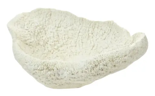 [OD1306] Table Coral Resin Sculpture 28cm