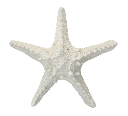 [OD1320] Syd Poly Starfish Resin Sculpture 15cm