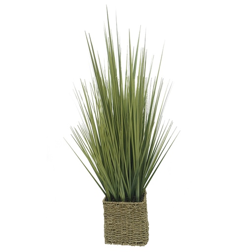 [AF2265] Onion Grass 85cm in Woven Basket