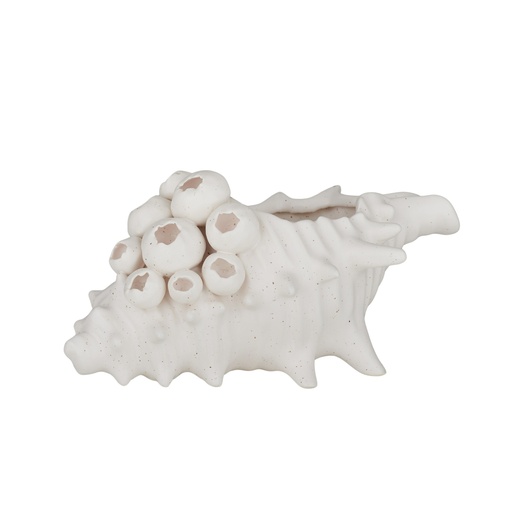 [OD2045] Barw on Ceramic Shell Sculpture
