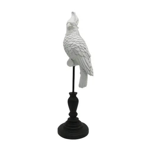 [DACRE001WH] Island Parrot White
