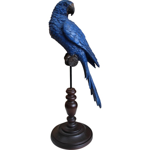 [WD4017-1] Parrot Jewel