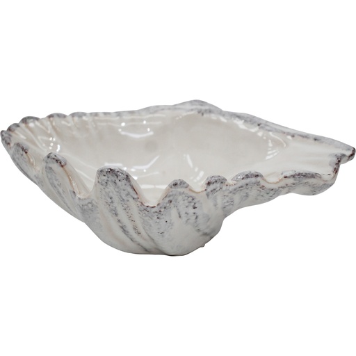 [CH8208-1] Shell Dish Ivory