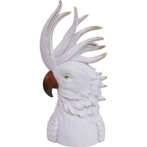 [BL7039-1] Parrot White
