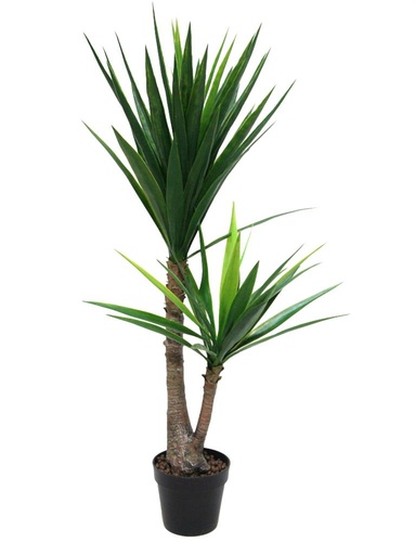 [952231] Yucca Tree 122cm w/Pot 
