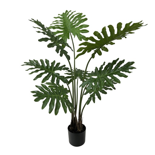 [970140] Philodendron Plant 99cm 