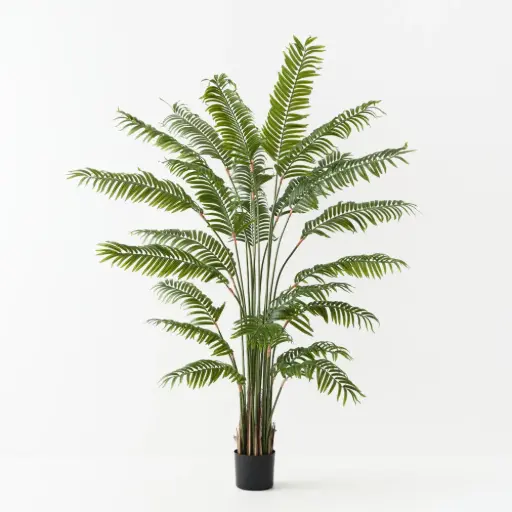 [FI11811GR] Palm Areca - 180cmh Green 