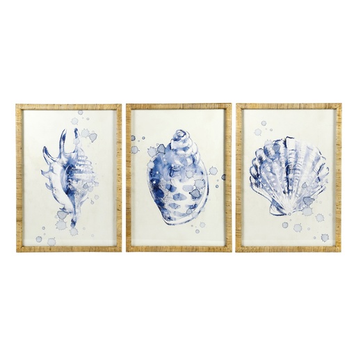 [WCFFS3] Farfor Rect Framed Blue Shell Art