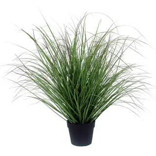 [ART114] Sea Grass w/Black Pot 91cm
