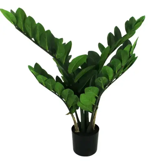 [ART140] Zamiifolia Pot 70cm