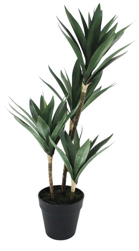[ART142] Yucca Quad 66cm w/Pot